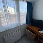 't Sonnehuys Отель 2*